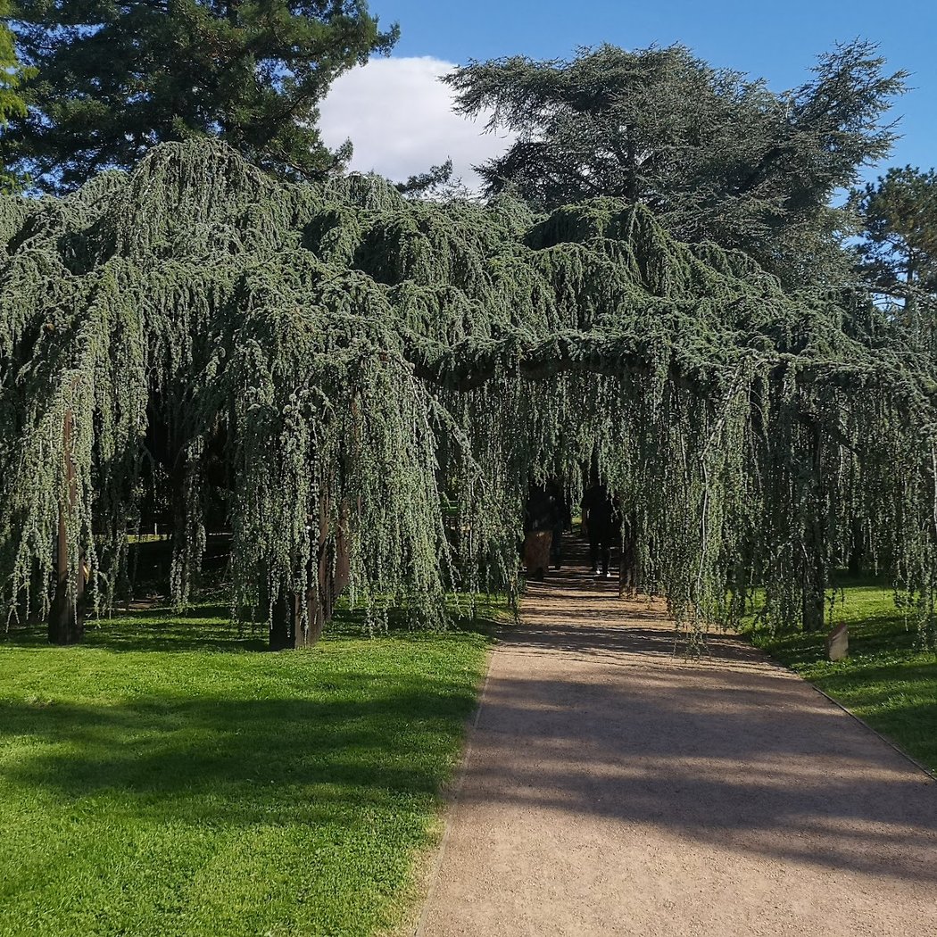 Arboretum de la Vallée aux Loups 2